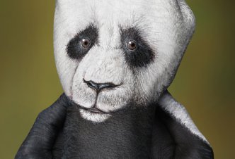 Panda - Ph. Andric